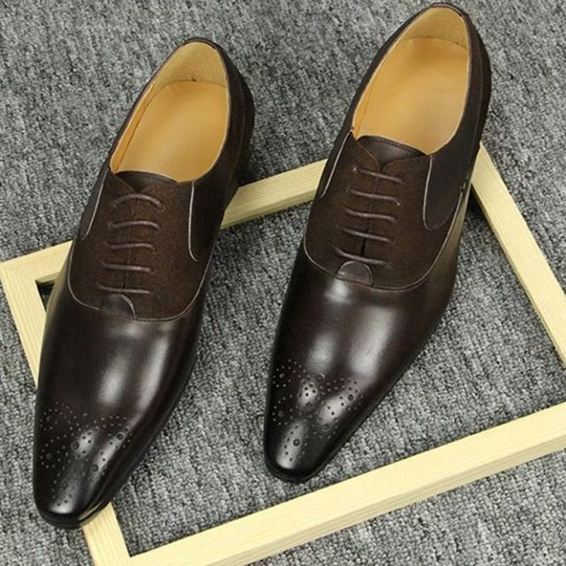 Formell Skor För Män Deluxe Bröllop Oxford Modishopulence Brogue - Kaffe