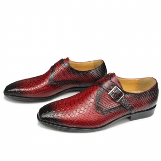 Formell Skor Herr Crocodile Textured Pointed Toe Monkstrap Klänning