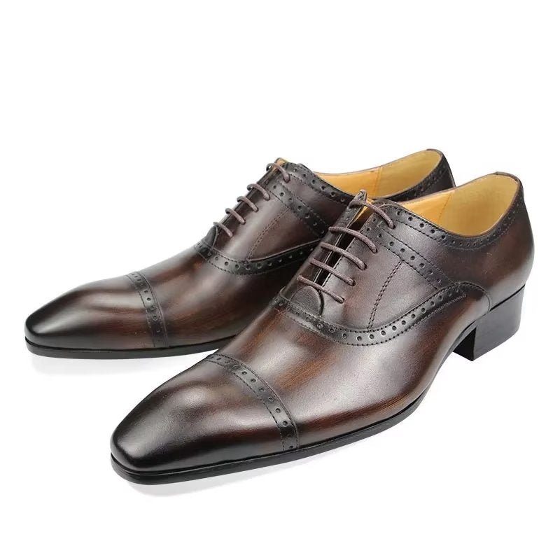 Formell Skor Herr Deluxe Oxford Lavishnuptial Brogues - Kaffe