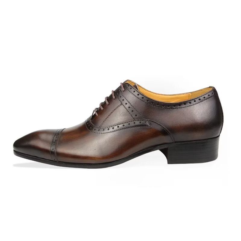 Formell Skor Herr Deluxe Oxford Lavishnuptial Brogues - Kaffe