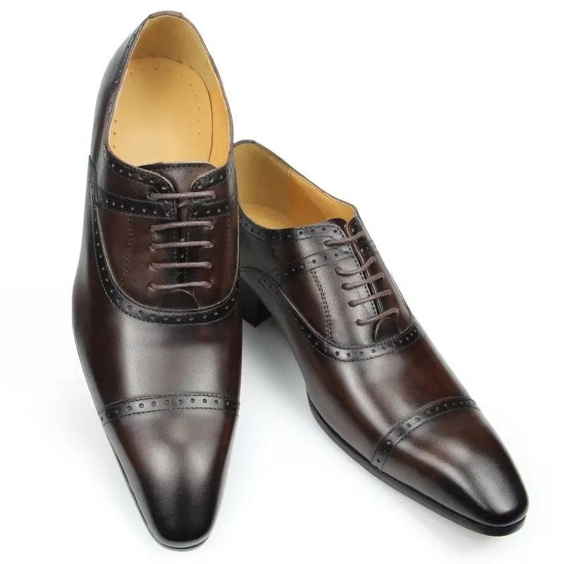 Formell Skor Herr Deluxe Oxford Lavishnuptial Brogues - Kaffe