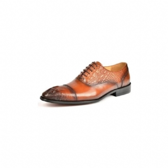 Formell Skor Herr Elegance Crocodile Texture Oxford Klänning