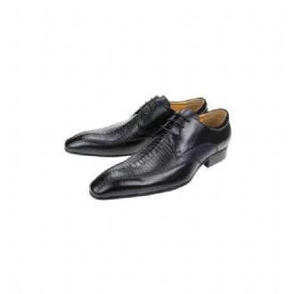 Formell Skor Herr Elegant Krokodilläder Lyx Brogue Oxford