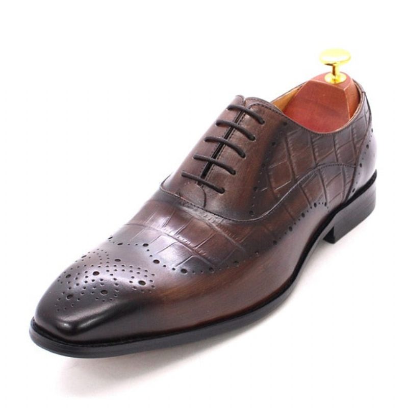 Formella Skor För Män Lyxiga Krokodilläder Brogue Oxford Dress - Kaffe