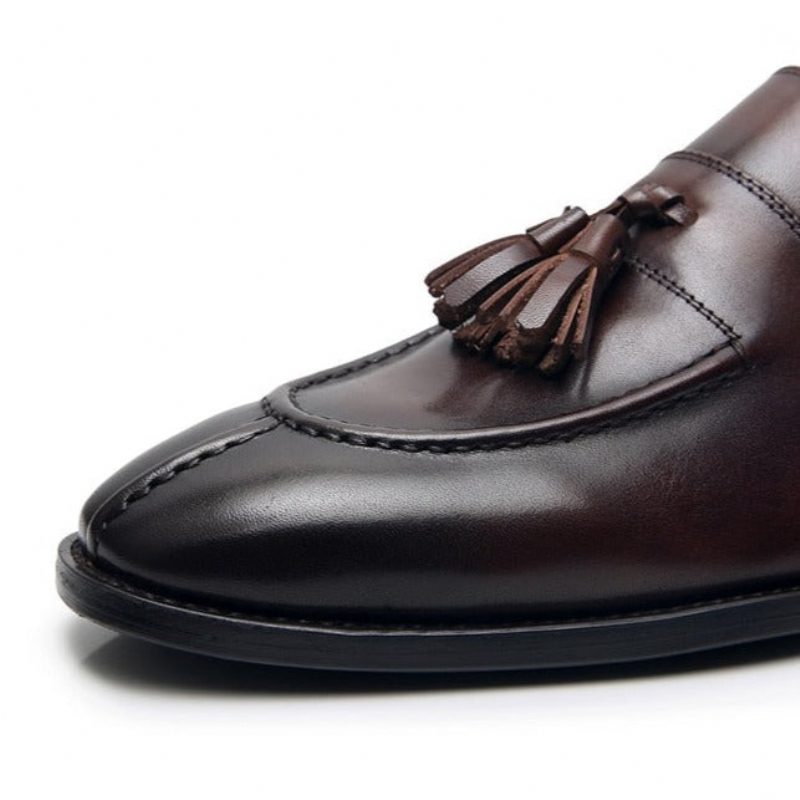 Loafers För Män Exotiskt Läder Oxford Dress - Kaffe