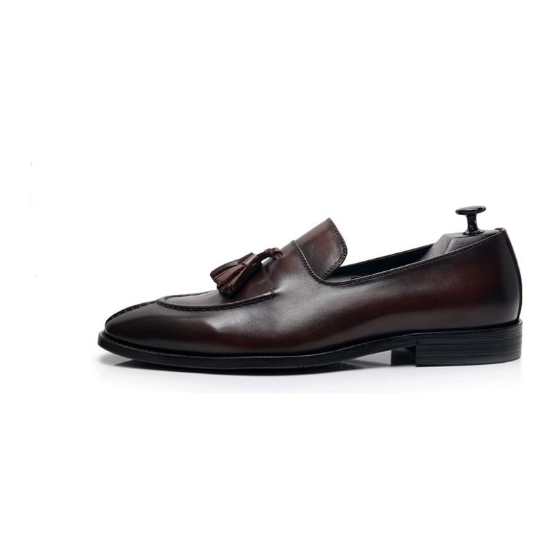 Loafers För Män Exotiskt Läder Oxford Dress - Kaffe